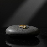 Toka Detaylı Pave Yüzük